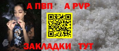 стаф Донской