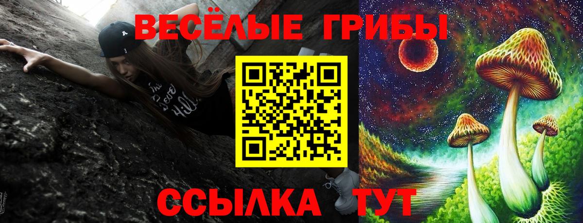 Галлюциногенные грибы мицелий  где можно купить наркотик  Малгобек  Вход с VPN 