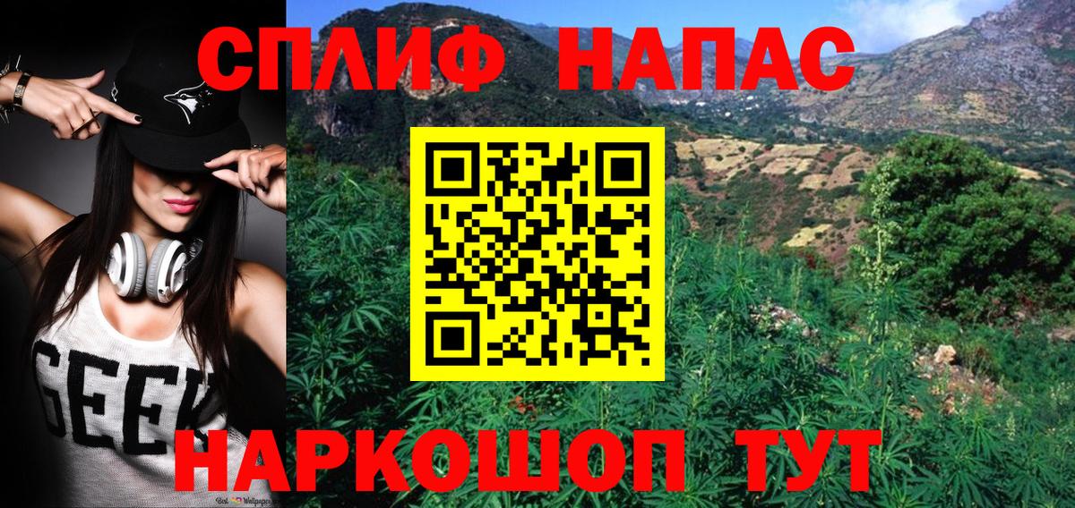 Конопля AK-47 Малгобек